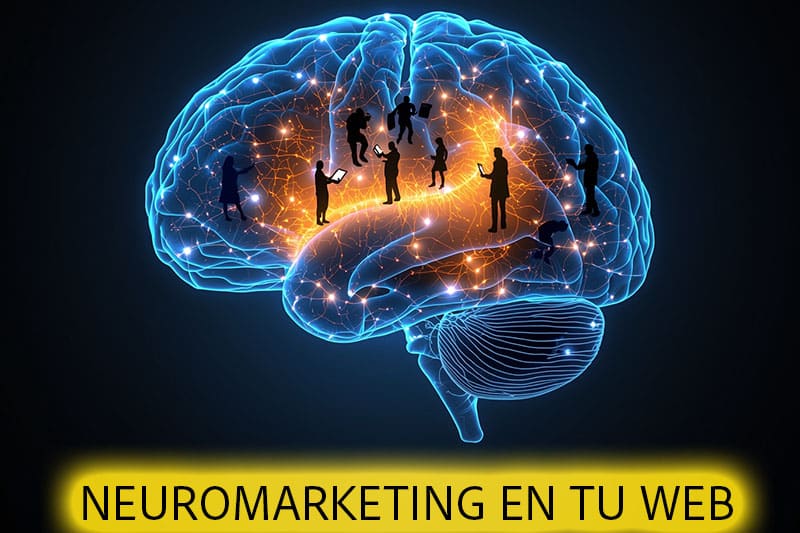NEUROMARKETING WEB