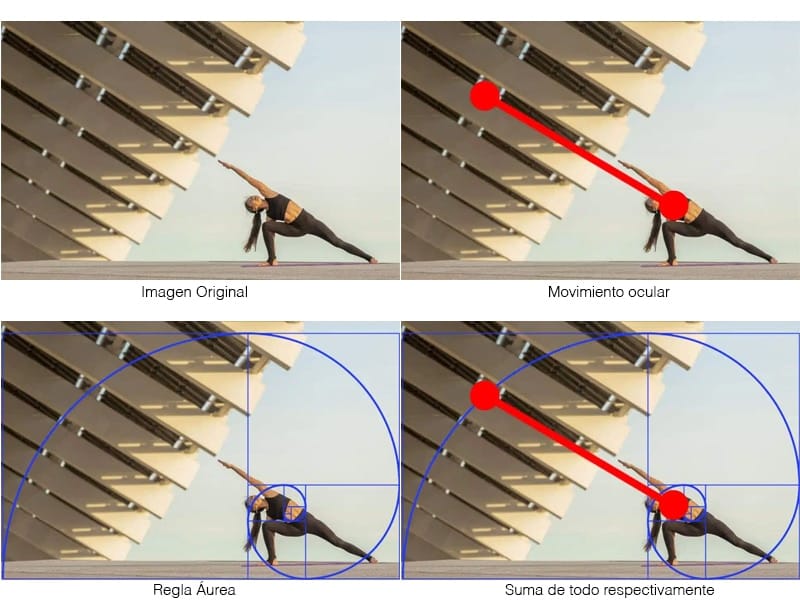 proporción áurea xavi moya