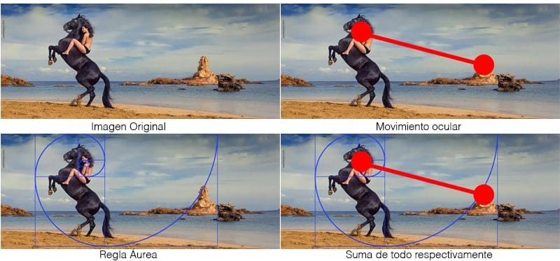 proporción áurea xavi moya