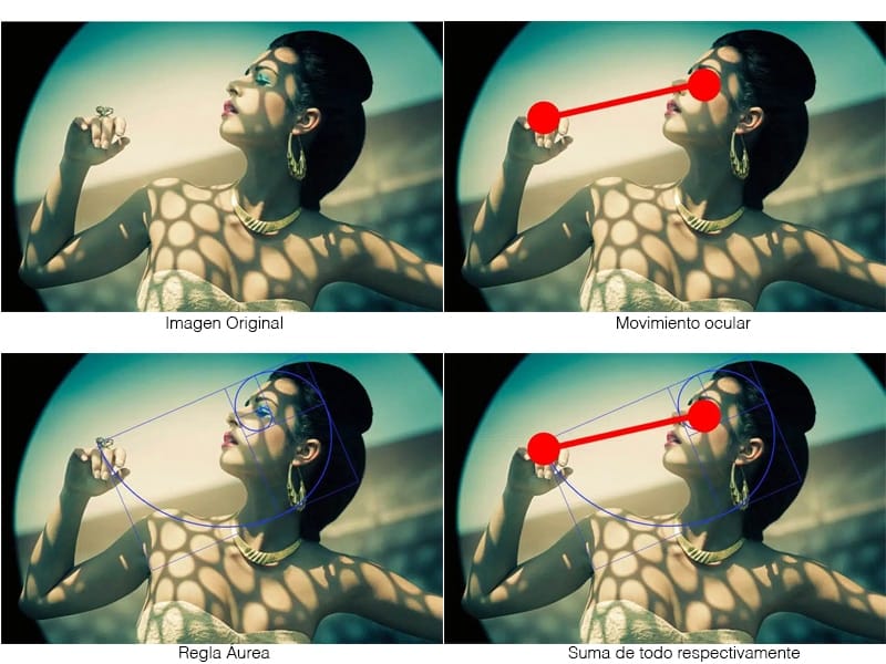 proporción áurea xavi moya