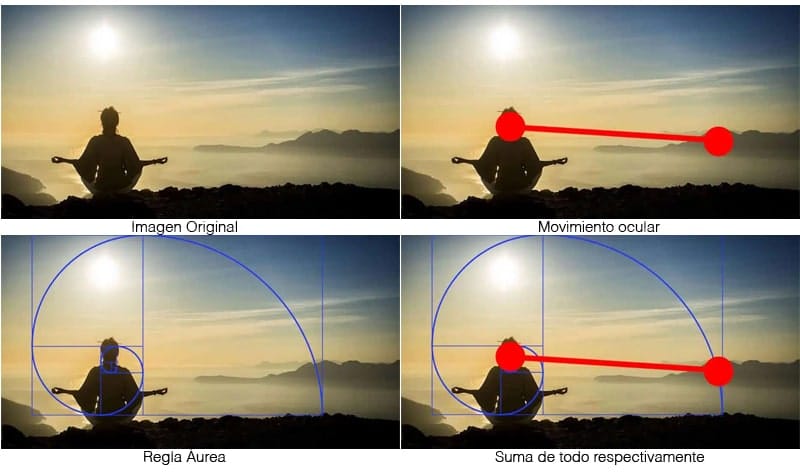 proporción áurea xavi moya